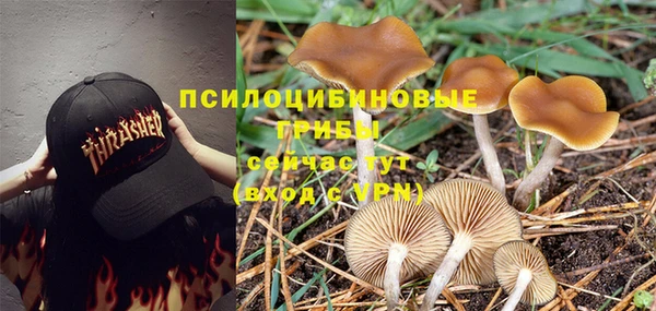 mix Верея