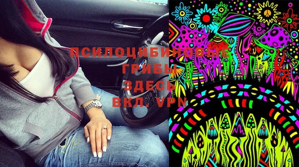 PSILOCYBIN Волоколамск