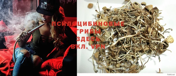 PSILOCYBIN Волоколамск