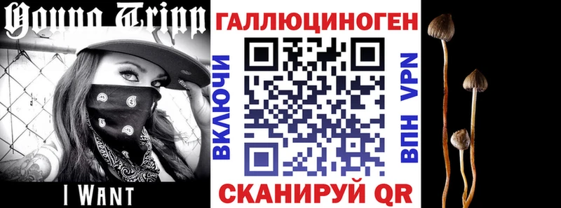 Галлюциногенные грибы Psilocybe  закладки  Балашиха 